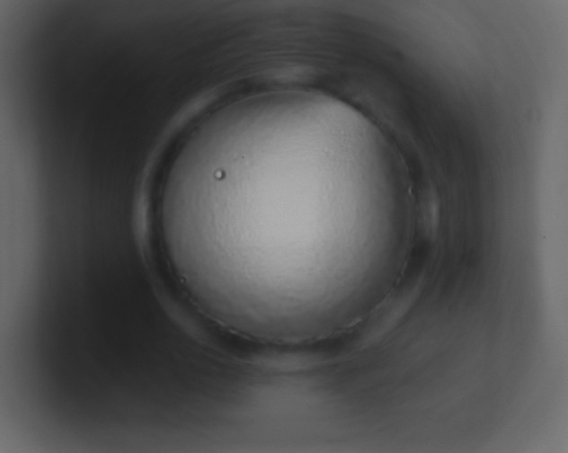 X0000101420726200807071315