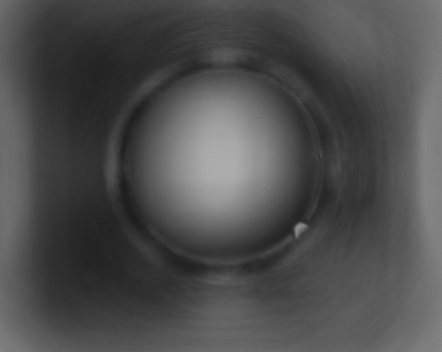 X0000101420728200807071315