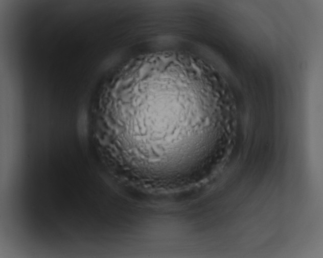 X0000101420729200807071315
