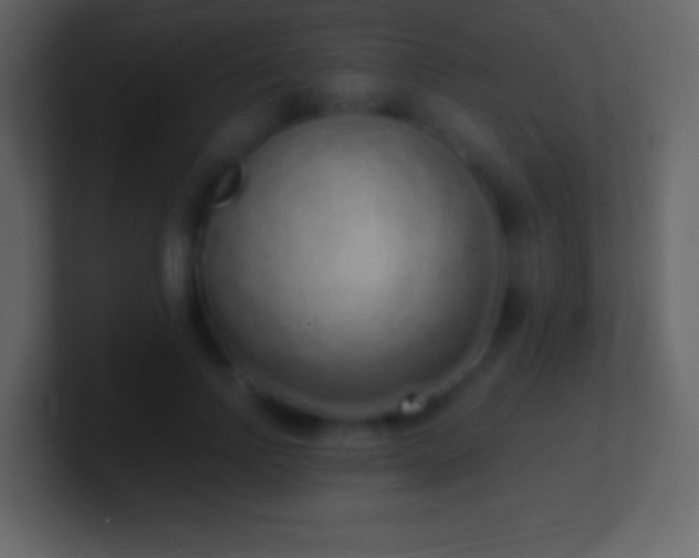 X0000101420742200807071315