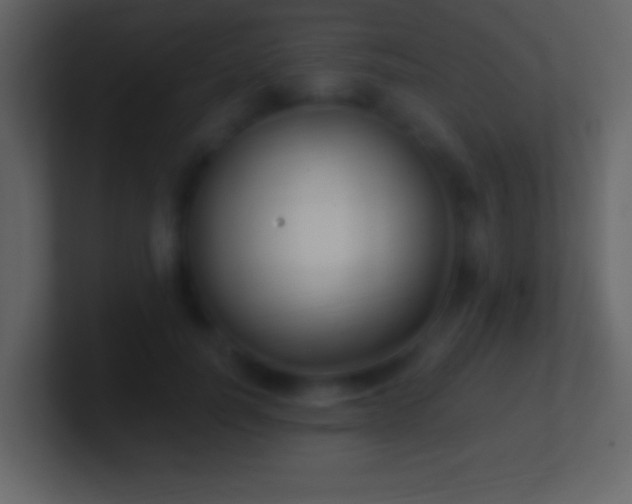 X0000101420746200807071315