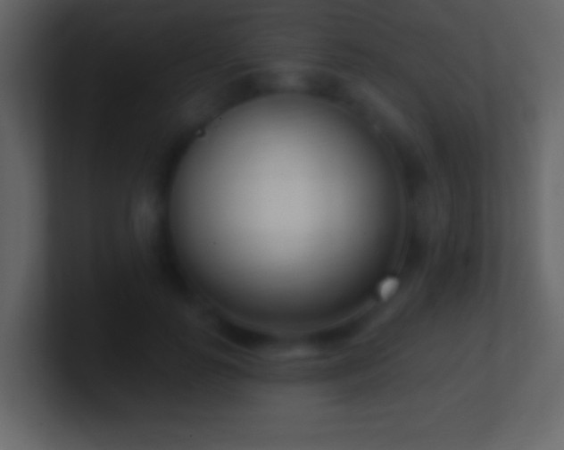 X0000101420747200807071315