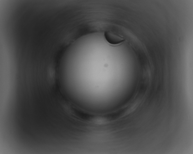 X0000101420749200807071315