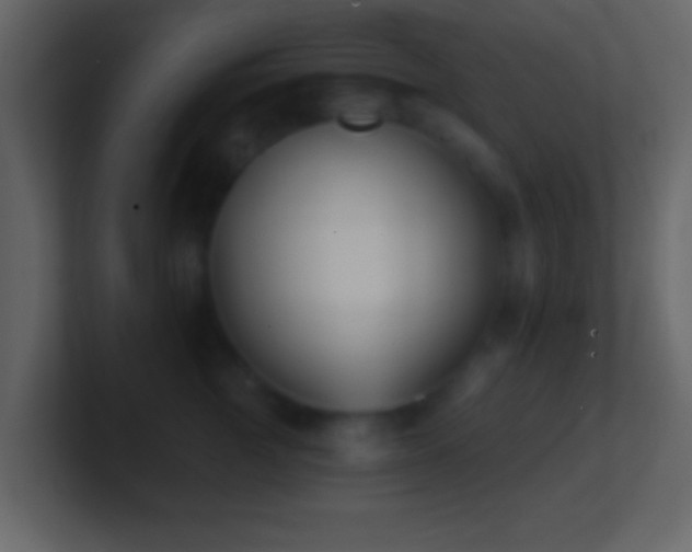 X0000101420761200807071315