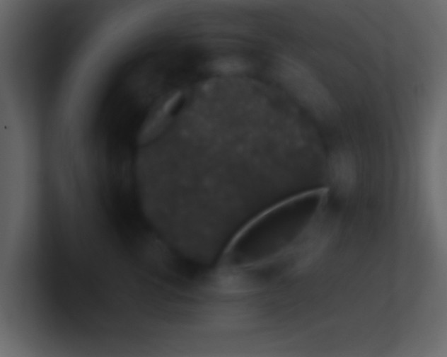 X0000101420762200807071315