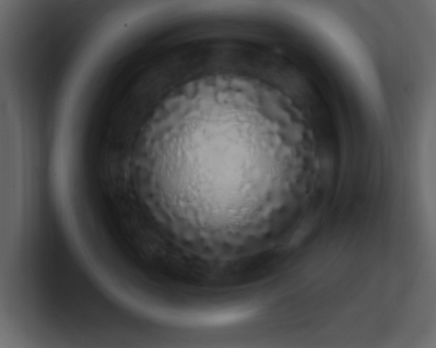 X0000101420765200807071315
