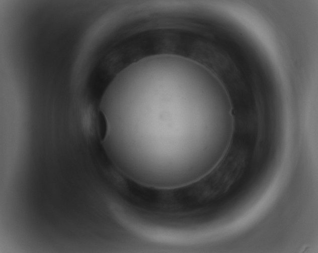 X0000101420766200807071315