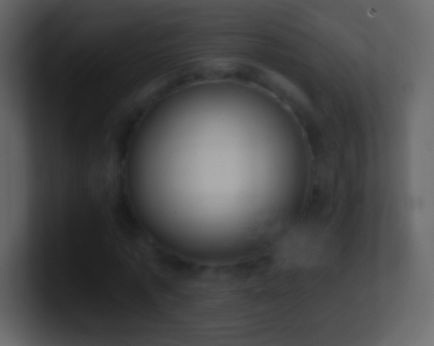 X0000101420773200807071315