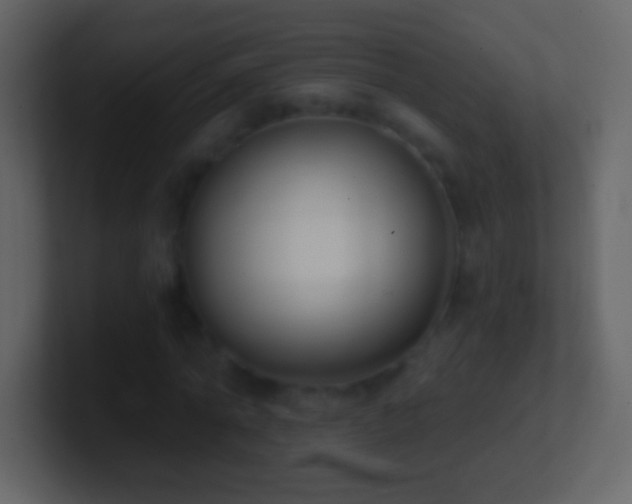 X0000101420774200807071315