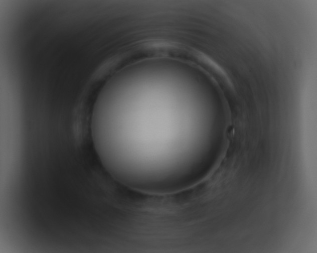 X0000101420775200807071315