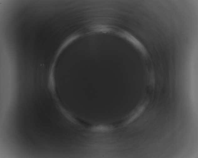 X0000101420806200807071314