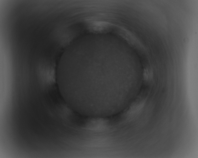 X0000101420820200807071314