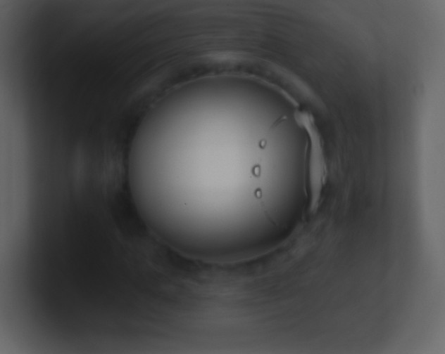 X0000101420821200807071314