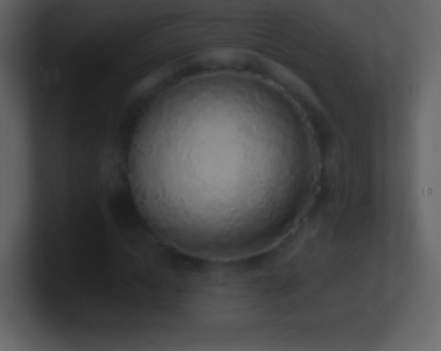 X0000101420822200807071314