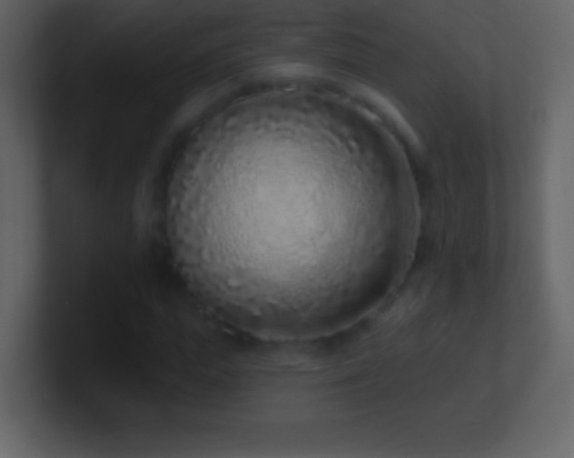 X0000101420823200807071314