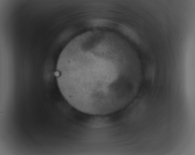 X0000101420824200807071314