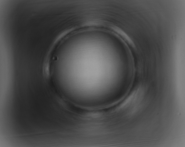 X0000101420830200807071314