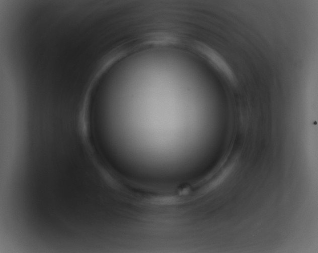 X0000101420845200807071314
