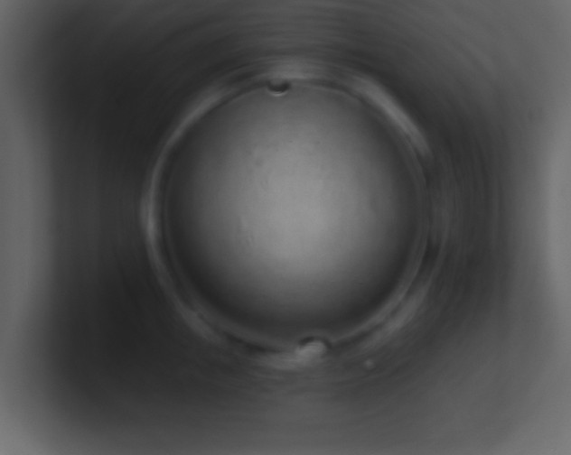 X0000101420853200807071314
