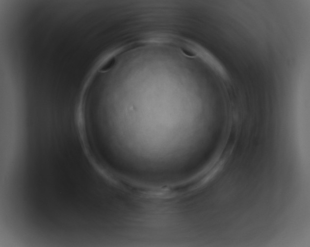 X0000101420855200807071314