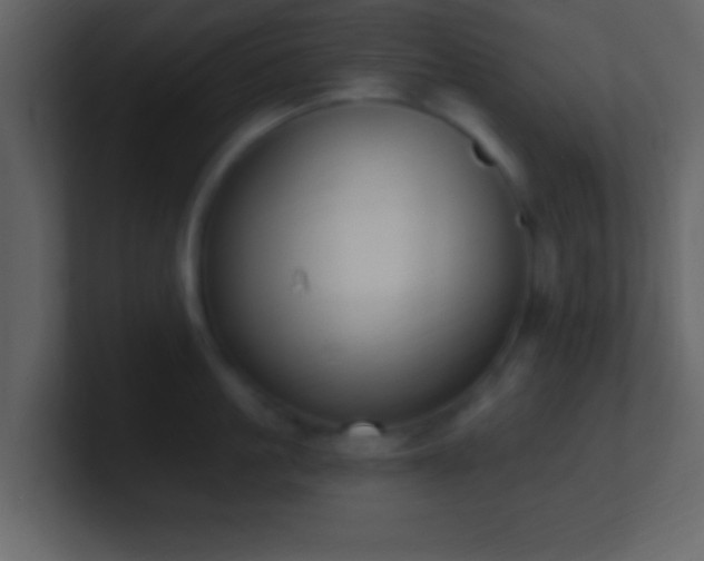 X0000101420861200807071314