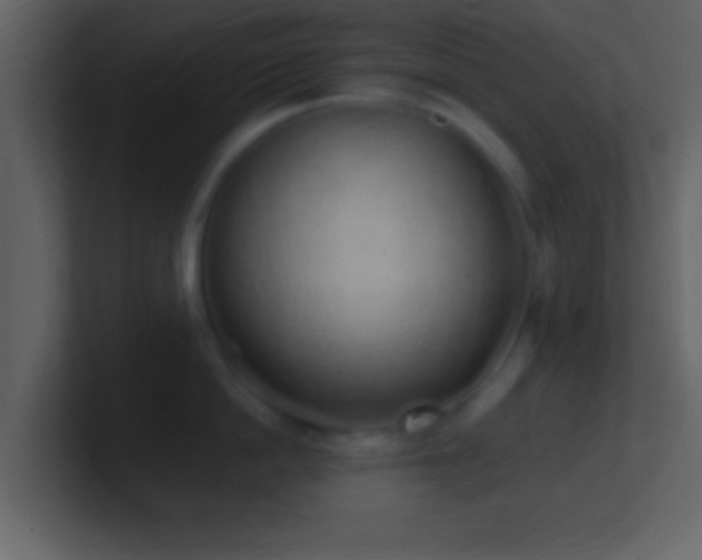 X0000101420862200807071314