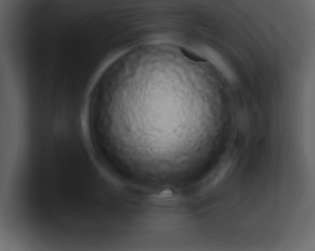 X0000101420863200807071314