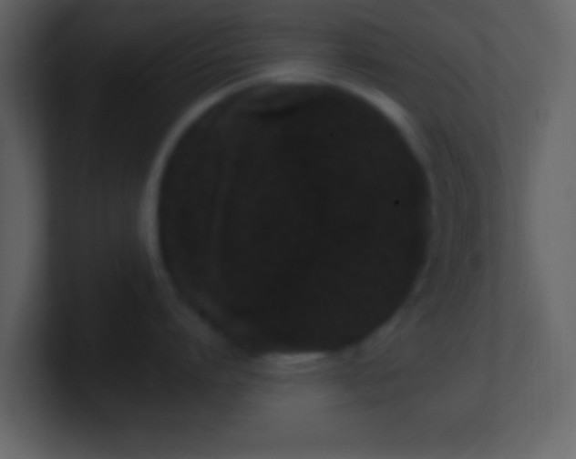 X0000101420864200807071314
