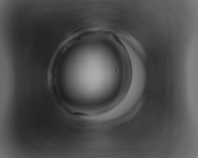 X0000101420876200807071313