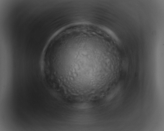 X0000101420879200807071313