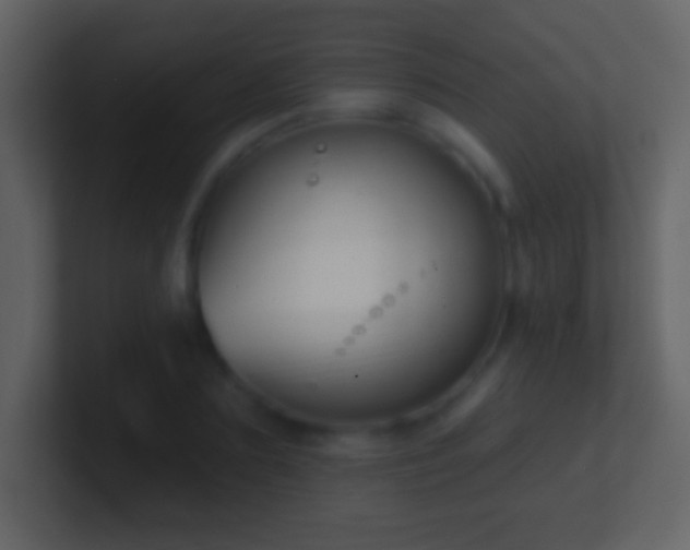 X0000101420883200807071313