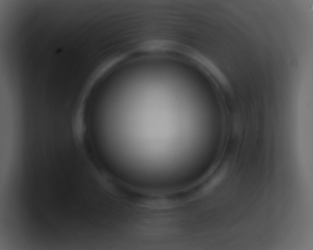 X0000101420885200807071313