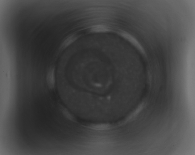 X0000101420889200807071313