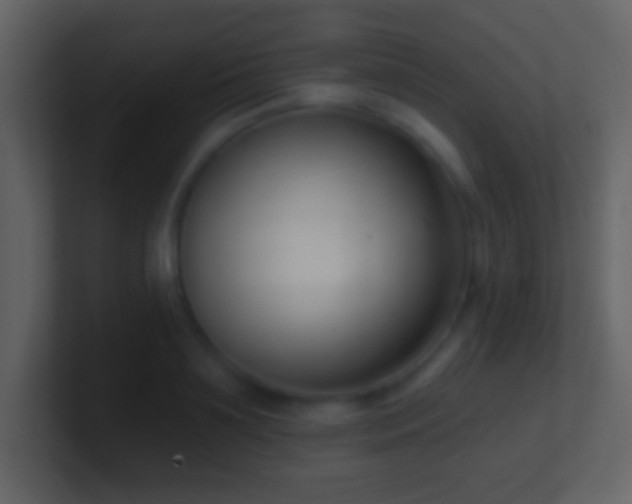X0000101420891200807071313