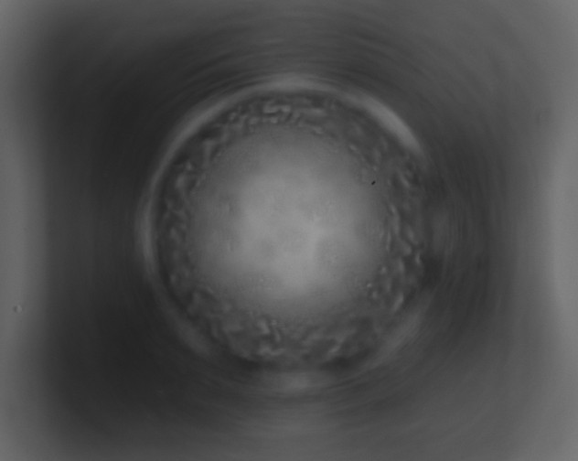 X0000101420895200807071313
