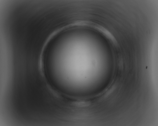 X0000101420896200807071313