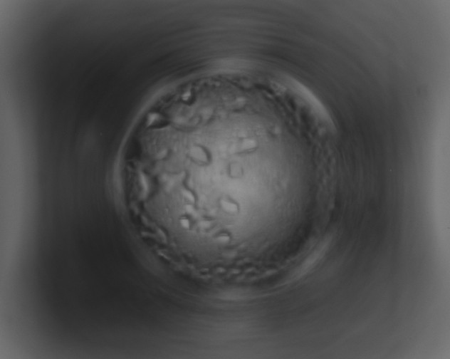X0000101420899200807071313