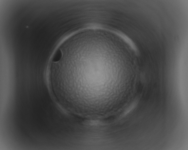 X0000101420903200807071313