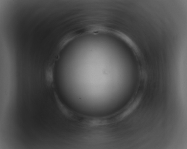 X0000101420905200807071313