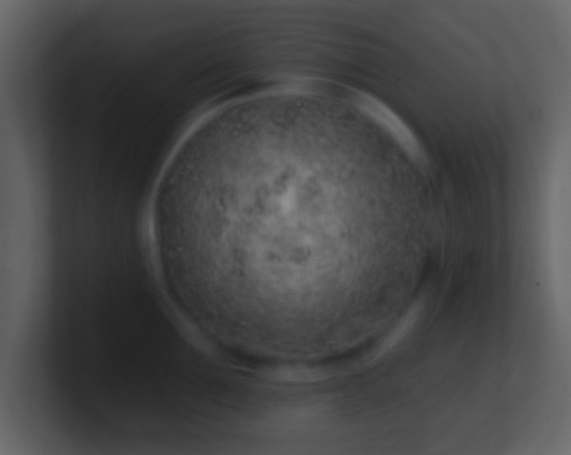 X0000101420907200807071313