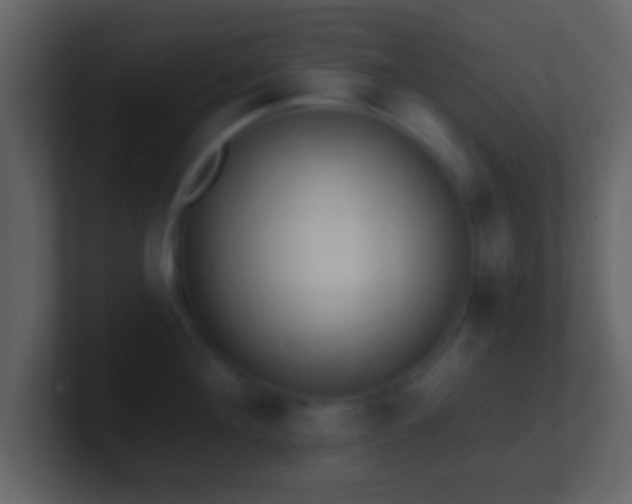 X0000101420908200807071313
