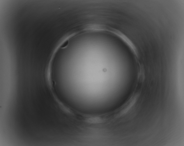X0000101420909200807071313