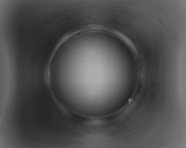 X0000101420911200807071313