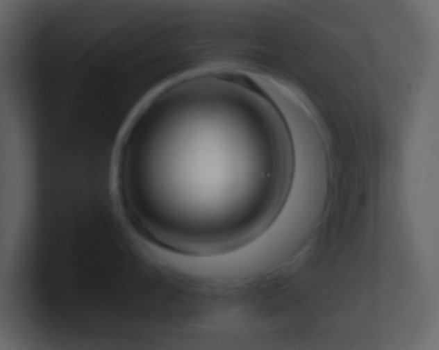X0000101420912200807071313