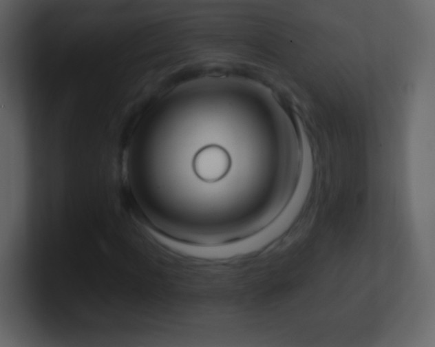 X0000101420916200807071312
