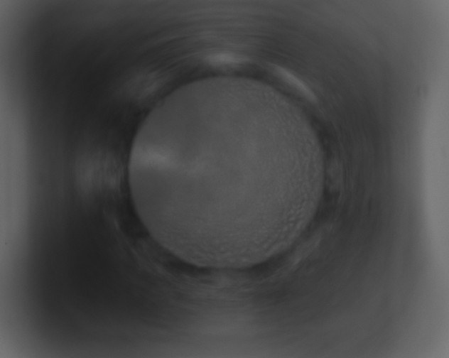X0000101420917200807071312