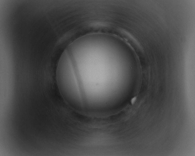 X0000101420919200807071312