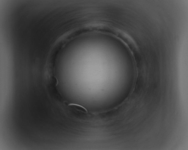 X0000101420920200807071312