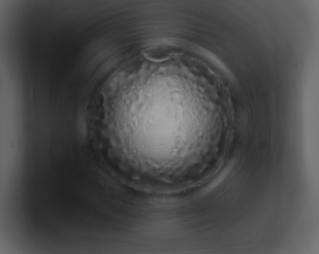 X0000101420921200807071312