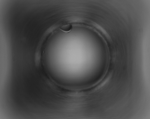 X0000101420922200807071312